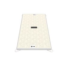 725mm x 255mm B125 Concrete Infill Access Cover 