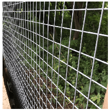 Welded Mesh