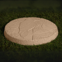 Woodpecker Stepping Stone