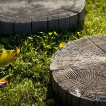 Driftwood Log Stepping Stone