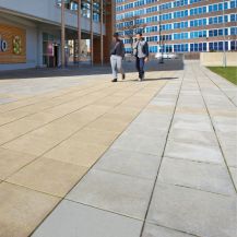 Commercial Pimple Paving