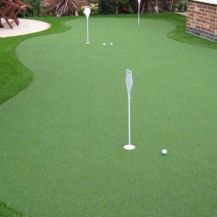 Putting Green Grass