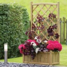Cambridge Timber Planter with Trellis