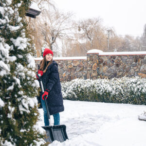 How To Enjoy Your Garden During The Winter