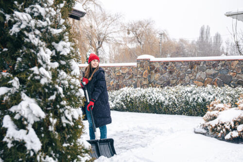 How To Enjoy Your Garden During The Winter
