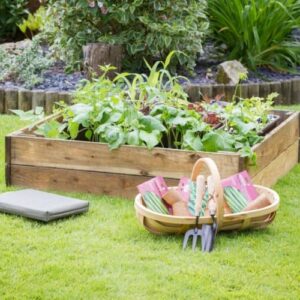 5 New Year's Resolutions For You and Your Garden