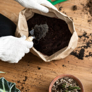 A Guide To Using Compost, Soil, and Bark In Your Garden