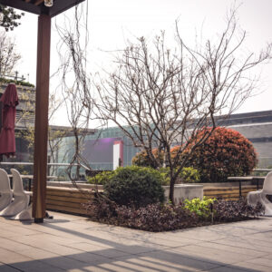 Porcelain or natural stone paving for your patio?