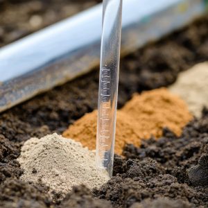 How to test and improve your soil’s pH level