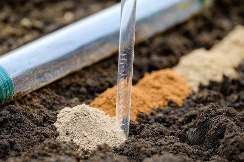 How to test and improve your soil’s pH level