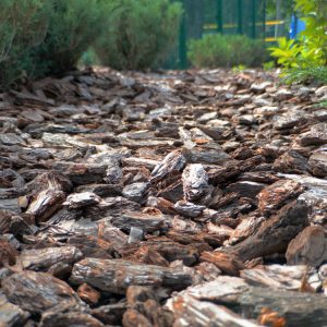 Decorative bark ideas to transform your outdoor space