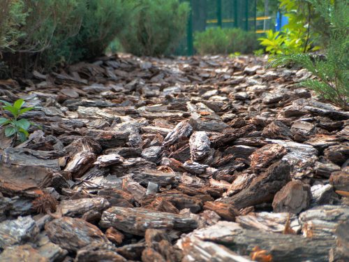 Decorative bark ideas to transform your outdoor space