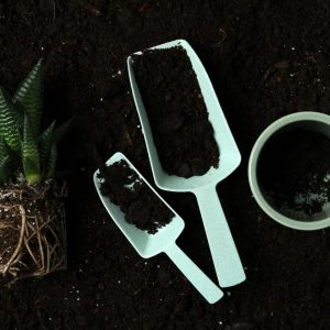 Can I use multipurpose compost for indoor plants?
