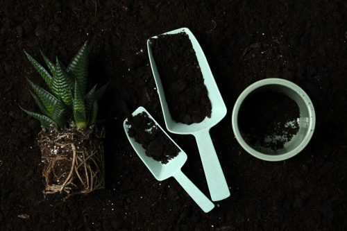 Can I use multipurpose compost for indoor plants?