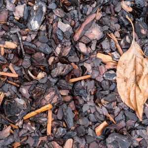 Benefits of using bark mulch: Weed control, moisture retention, and more