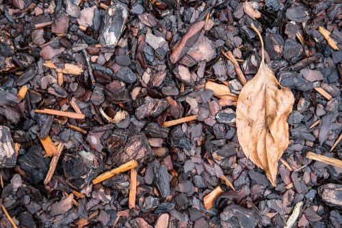 Benefits of using bark mulch: Weed control, moisture retention, and more