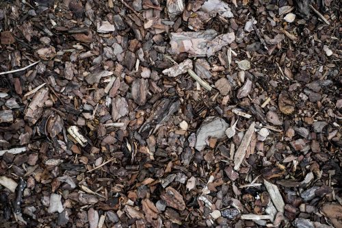 How to put down bark mulch effectively: Tips and techniques