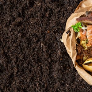 Understanding different types of compost