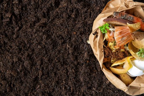 Understanding different types of compost