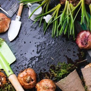 Compost for specific plants and soil types