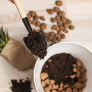 What’s the difference between topsoil and compost?