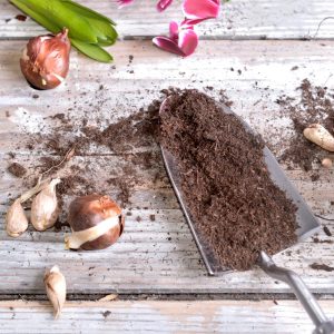 What is compost?