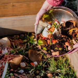 What is peat-free compost?