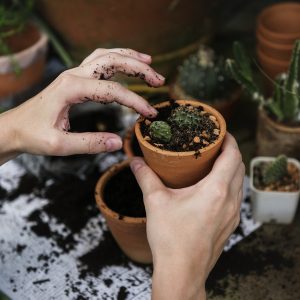 Tips for how to improve your soil