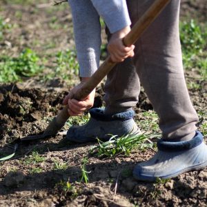 Everything you need to know about septic tank installation